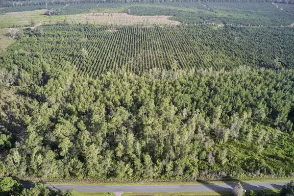 Cottageville, SC 29435,0 Wesley Chapel Ave