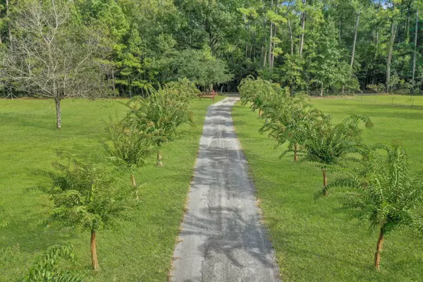 Saint Stephen, SC 29479,643 Josh Lane Ln