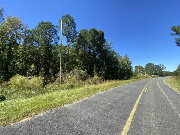 Summerton, SC 29148,000 William Brunson Rd
