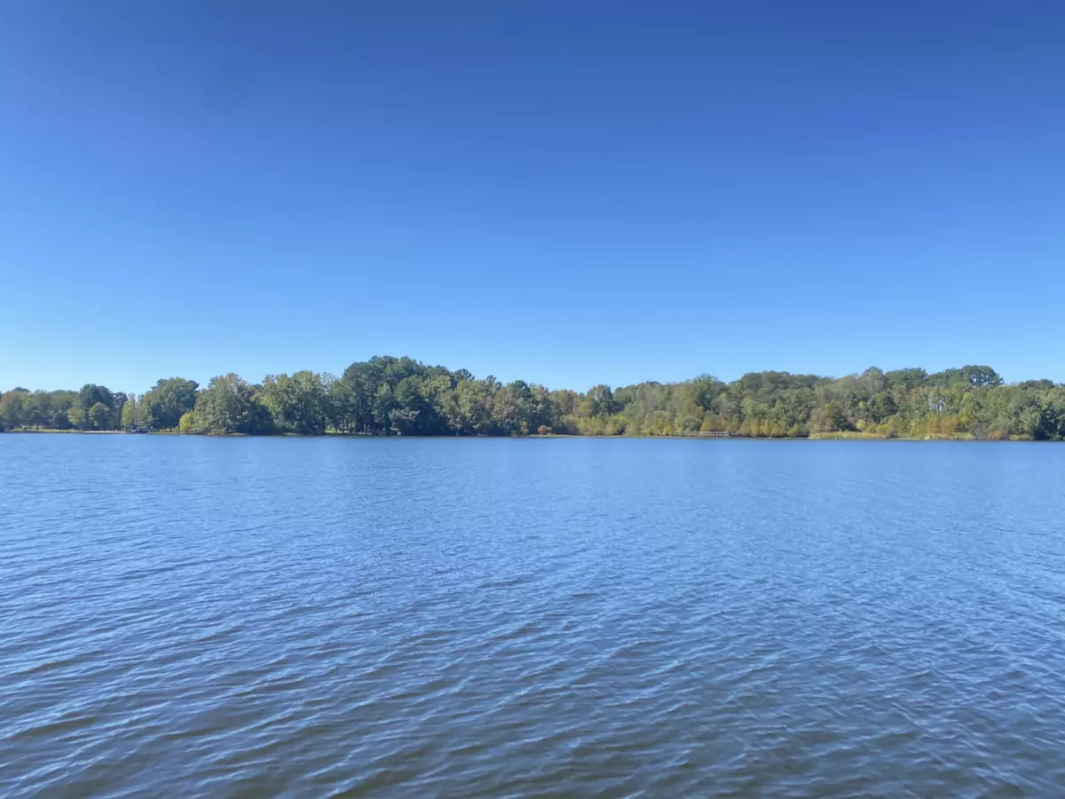 Summerton, SC 29148,3750 William Brunson Rd