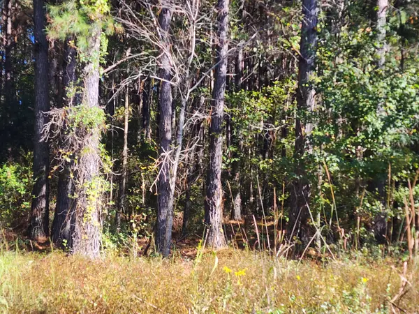 Saint George, SC 29477,0 Ordie Rd