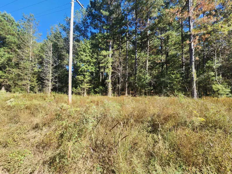 0 Ordie Rd, Saint George, SC 29477