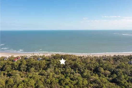 Dewees Island, SC 29451,355 Pelican Flight Dr #Lot 29