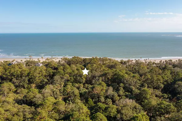 Dewees Island, SC 29451,355 Pelican Flight Dr #Lot 29