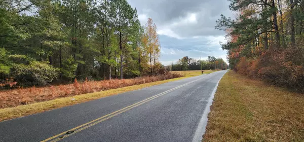 Summerton, SC 29148,Lot 001 William Brunson Rd
