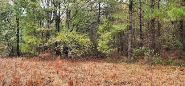 Summerton, SC 29148,Lot 001 William Brunson Rd