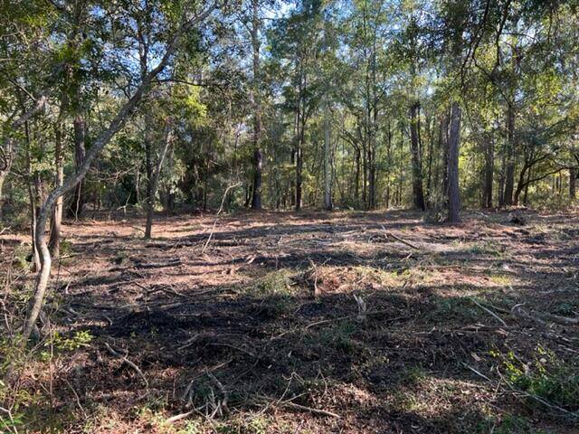 Johns Island, SC 29455,3142 Fickling Hill Rd