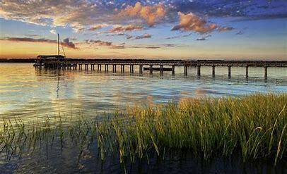 408 Blowing Fresh Dr, Charleston, SC 29492