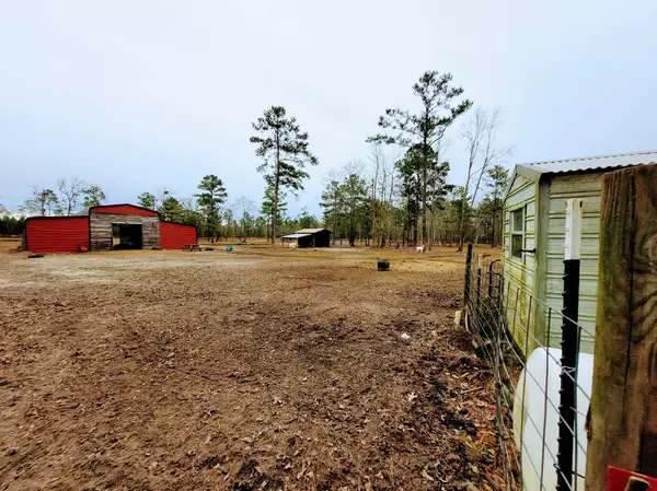 Cottageville, SC 29435,118 Whitetail Ln