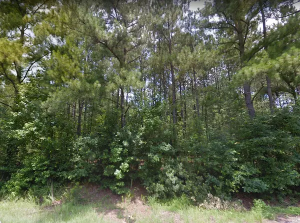 Green Pond, SC 29446,0 Clover Hill Rd