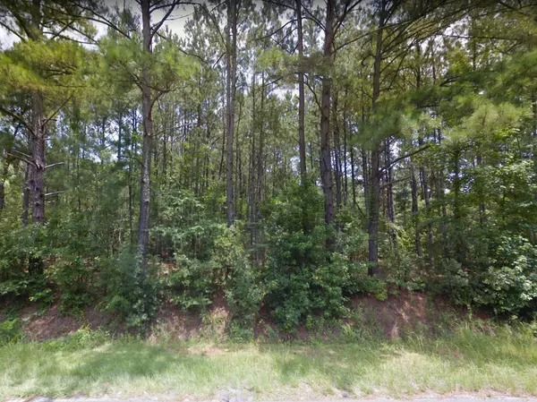 Green Pond, SC 29446,0 Clover Hill Rd