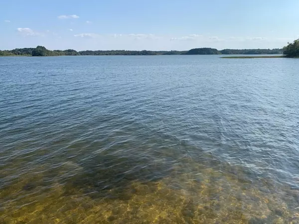 Summerton, SC 29148,Tbd Blackberry Bush Rd