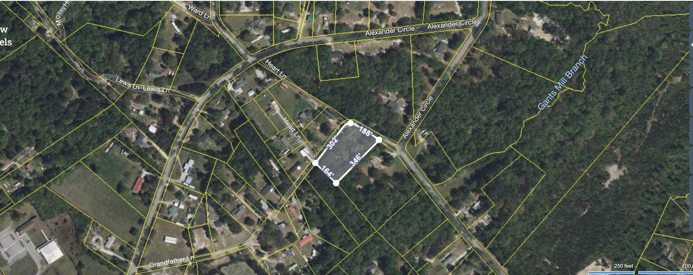 409 Peacock Lane, Summerville, SC 29486