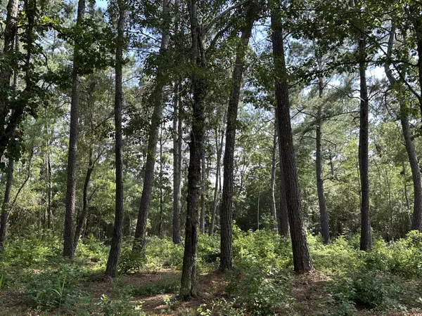 Alvin, SC 29479,0 Heaven Drive