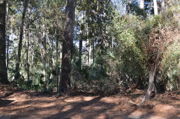 3107 Baywood Dr, Seabrook Island, SC 29455