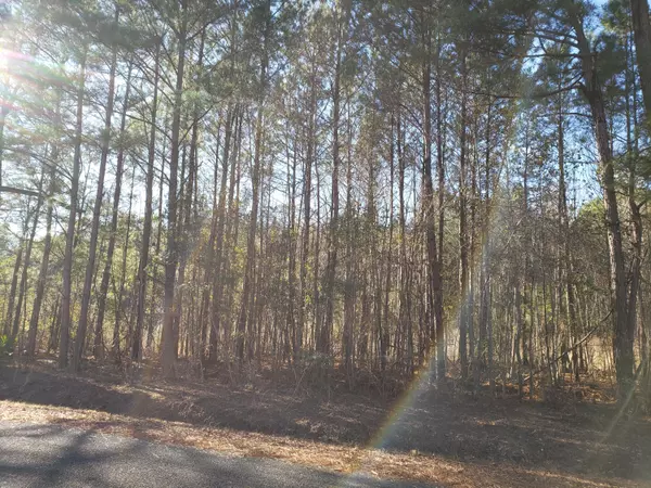 Green Pond, SC 29446,0 Abberly Dr