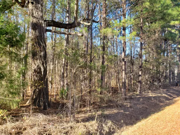 Green Pond, SC 29446,0 Abberly Dr