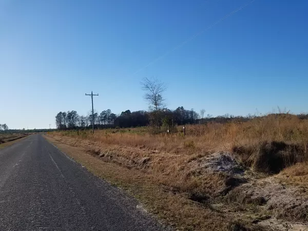 Islandton, SC 29929,2877 Mt. Nebo Rd #Lot B