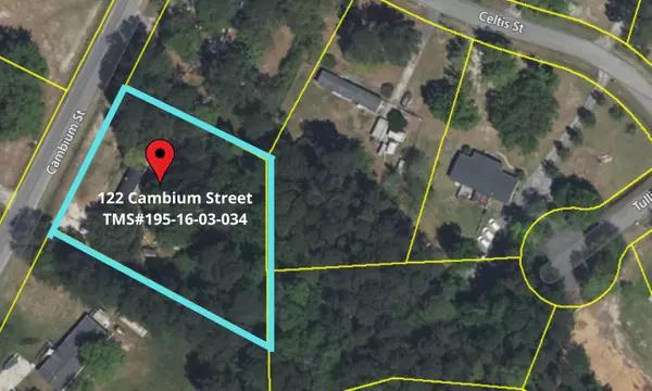 122 Cambium St, Moncks Corner, SC 29461