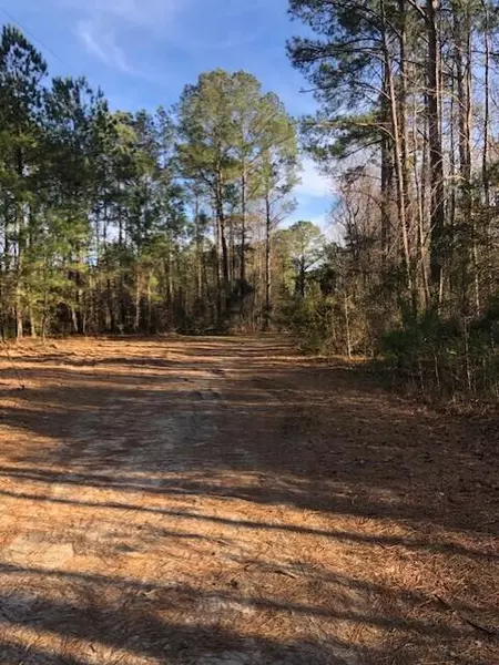 8 Milcrest Dr, Awendaw, SC 29429