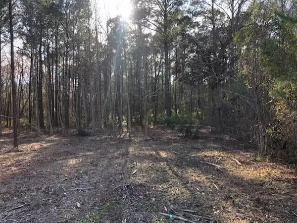 Awendaw, SC 29429,8 Milcrest Dr