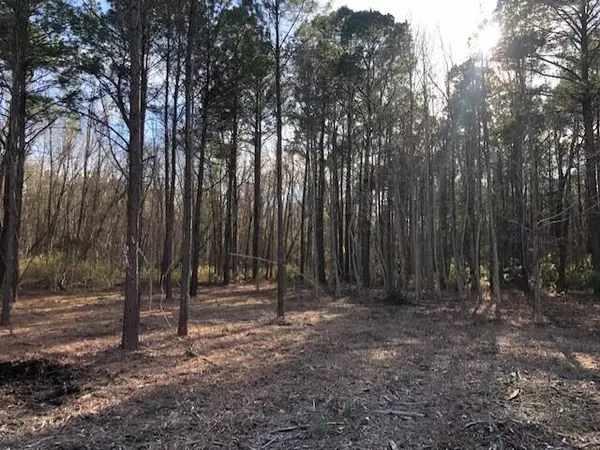 Awendaw, SC 29429,8 Milcrest Dr