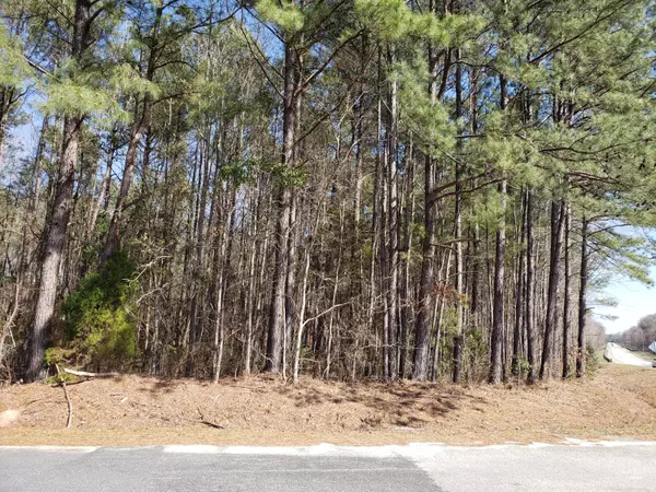 Islandton, SC 29929,0 Varnadoe Rd