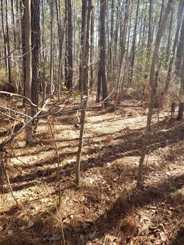 Islandton, SC 29929,0 Varnadoe Rd