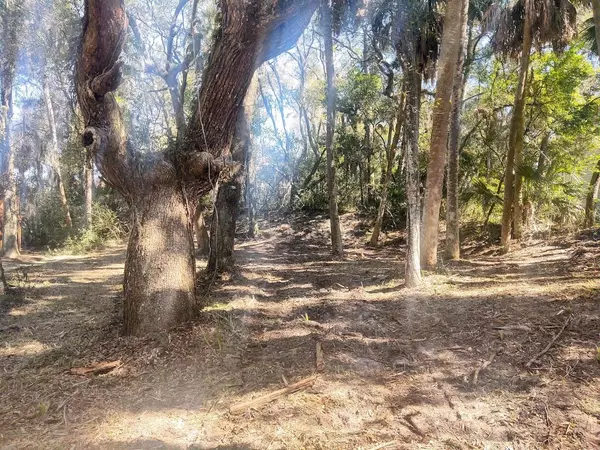 Edisto Beach, SC 29438,817 Cheehaw St