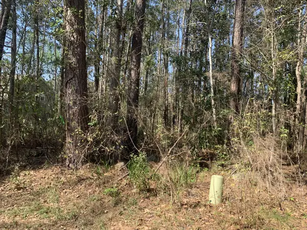 Summerville, SC 29485,145 Limehouse Dr