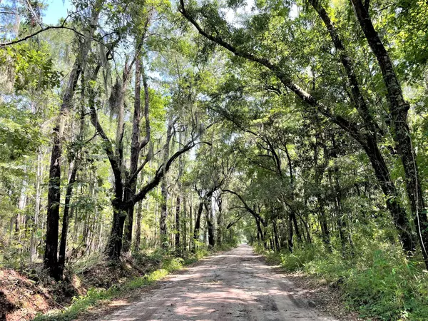 Edisto Island, SC 29438,8273 Manse Rd