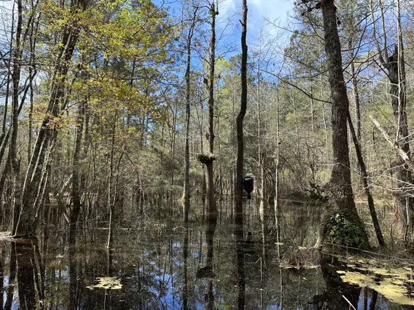 Bonneau, SC 29431,358 Virginia Oak Way