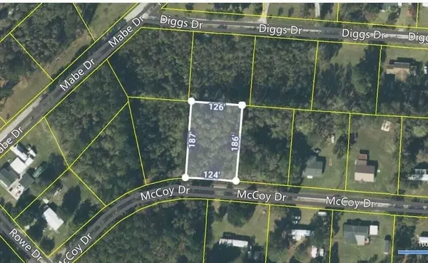 Summerton, SC 29148,0 Mccoy Dr