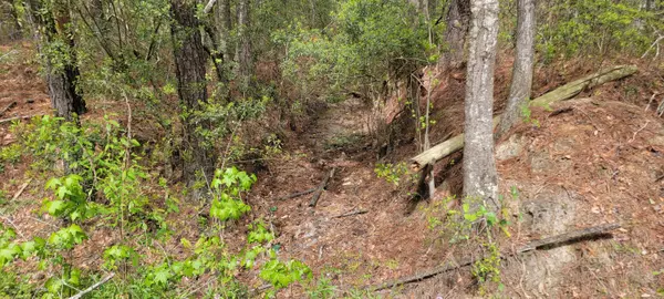 Summerville, SC 29483,Tbd Prince Edward Rd