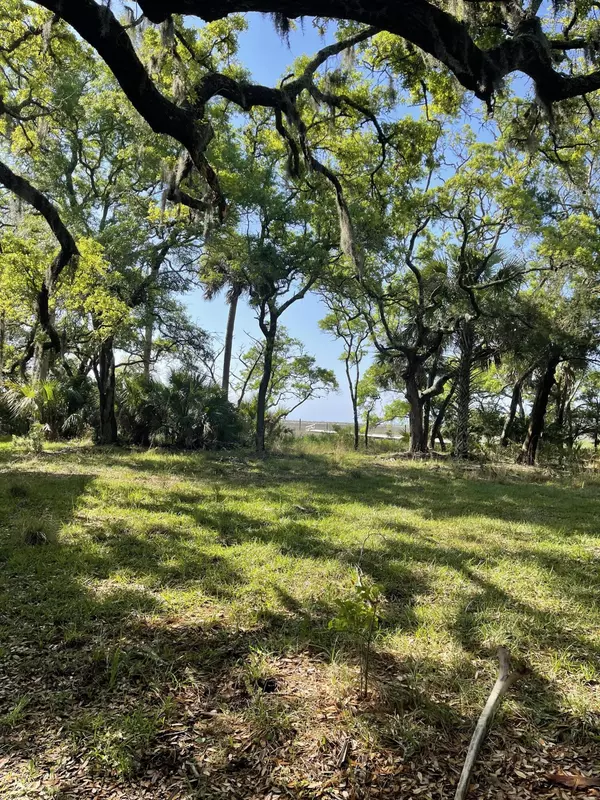 Edisto Island, SC 29438,0 Hammocks Way