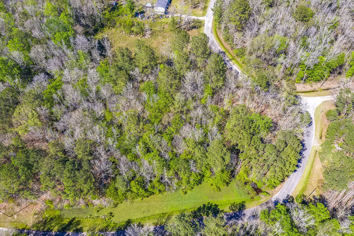 Cottageville, SC 29435,0 Finlay Ln