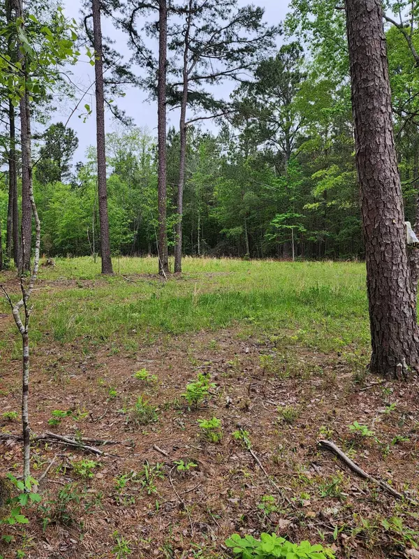 Cross, SC 29436,Lot B Hickory Nut Way