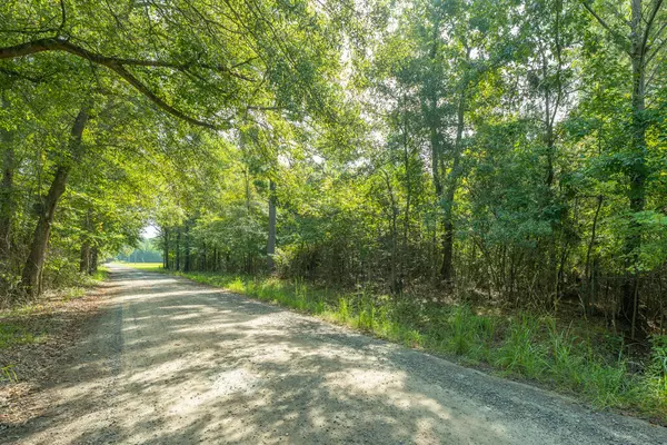 699 Murphy Bay Dr, Cross, SC 29436