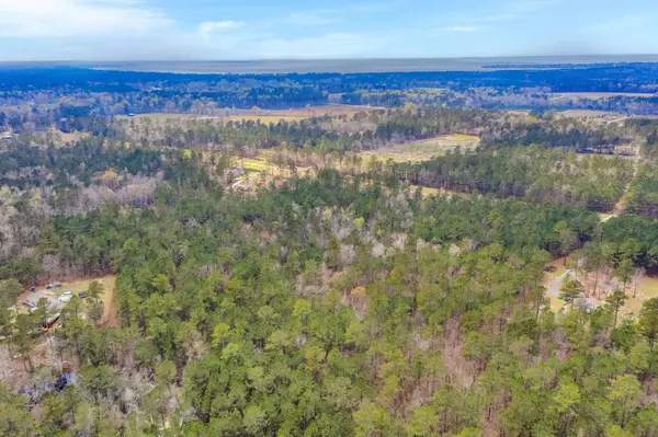 Bonneau, SC 29431,490 Falling Leaves Trl