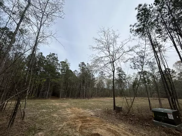 Bonneau, SC 29431,490 Falling Leaves Trl