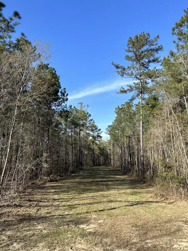 Bonneau, SC 29431,490 Falling Leaves Trl