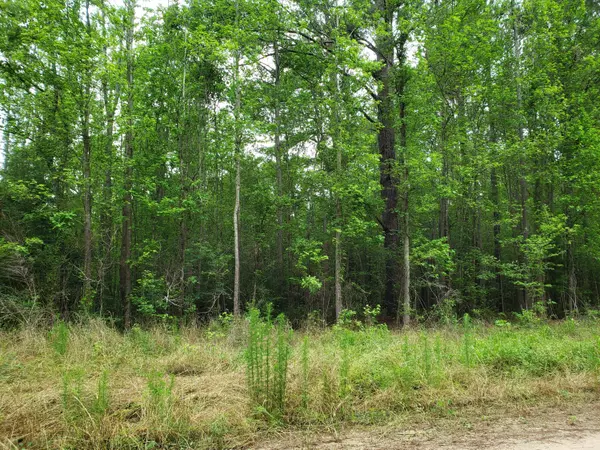 0 Alton Way, Cottageville, SC 29435