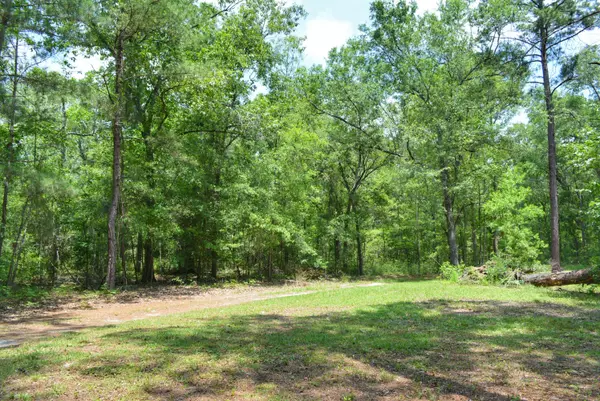 Adams Run, SC 29426,7769 Old Jacksonboro Rd