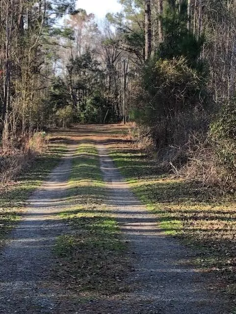 Awendaw, SC 29429,6 Milcrest Drive