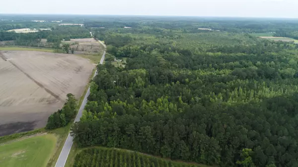 Estill, SC 29918,Tbd Browning Gate Rd