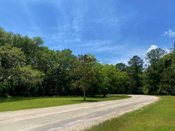 Edisto Island, SC 29438,25 Blackbear Rd