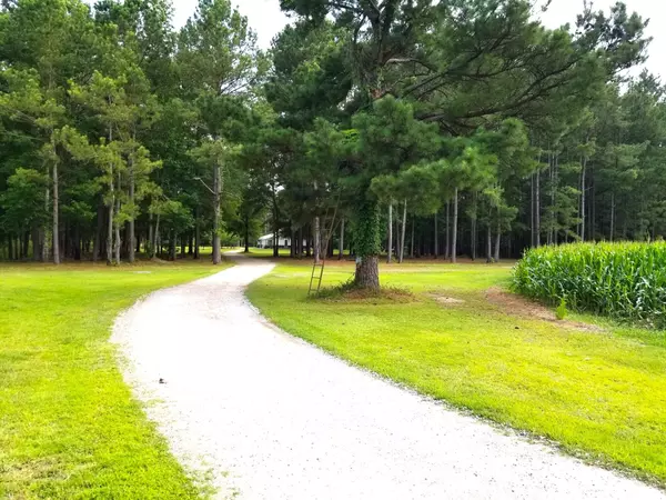 Summerton, SC 29148,1995 Sam Nexsen Rd