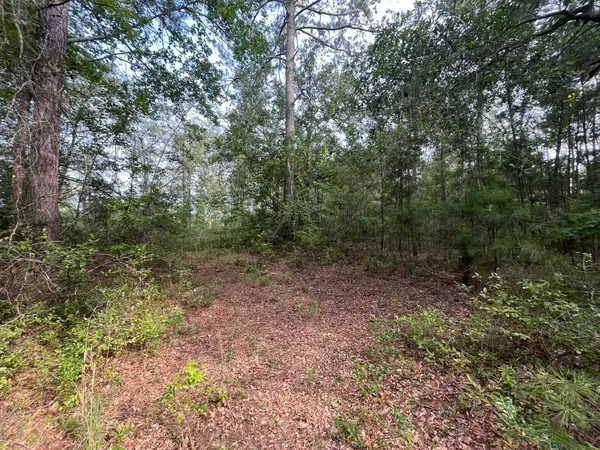 Tbd Breezewood Ln, Cottageville, SC 29435