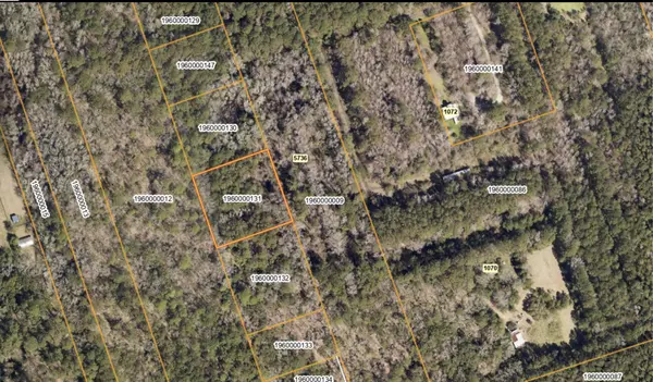 Wadmalaw Island, SC 29487,0 Back A Wood Rd