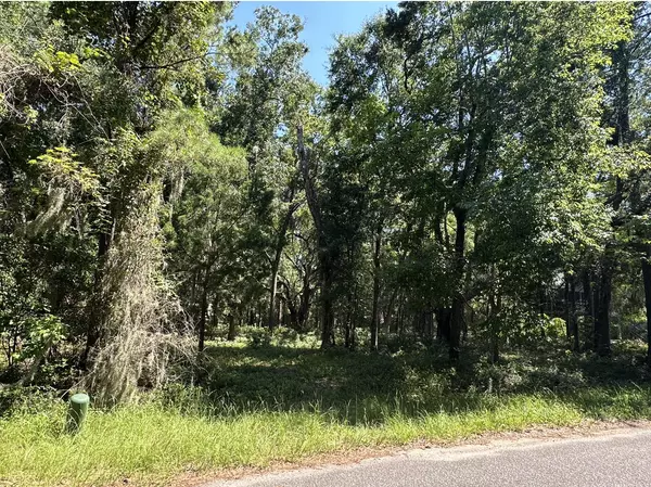 Edisto Island, SC 29438,0 Main House Dr